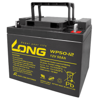 Batterie Long WP50-12 | bateriasencasa.com
