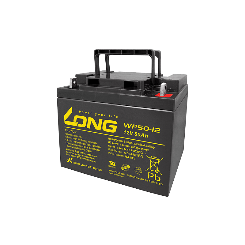 Batterie Long WP50-12 | bateriasencasa.com