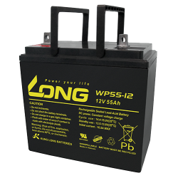 Batterie Long WP55-12 | bateriasencasa.com