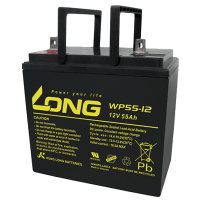 Long WP55-12 battery | bateriasencasa.com