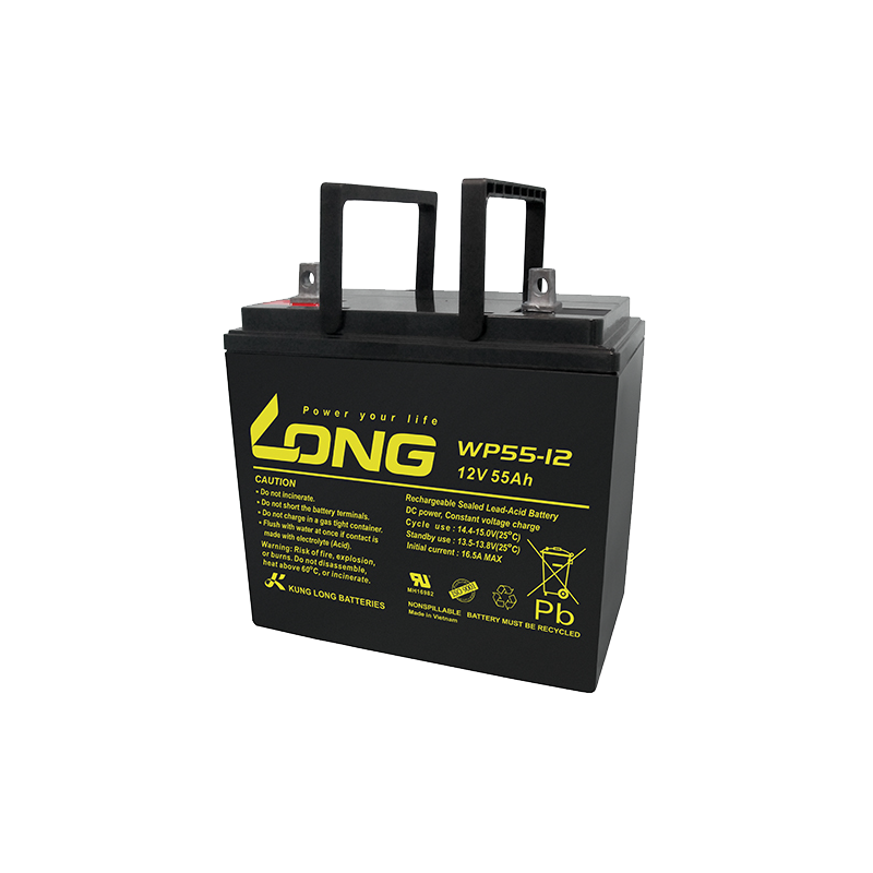 Long WP55-12 battery | bateriasencasa.com