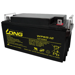 Long WP65-12 battery | bateriasencasa.com
