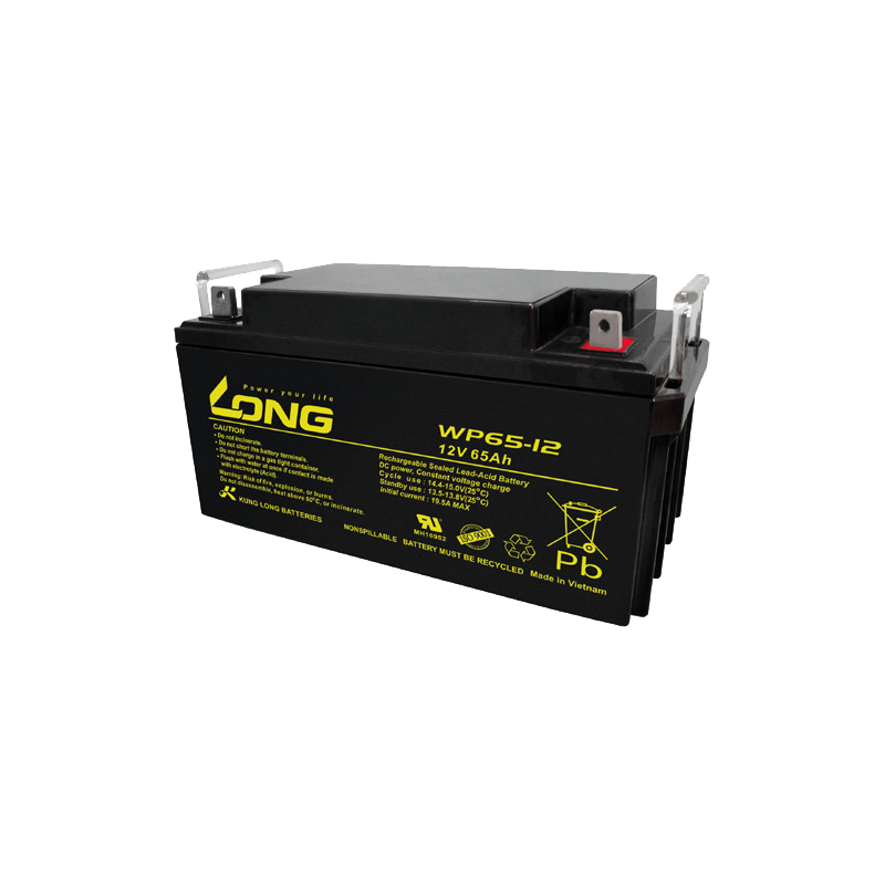 Batería Long WP65-12 | bateriasencasa.com