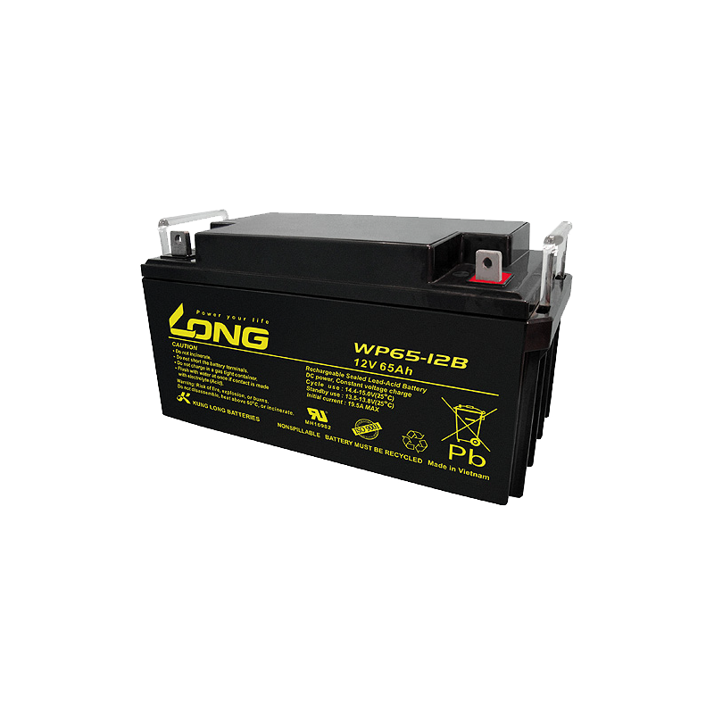 Batterie Long WP65-12B | bateriasencasa.com