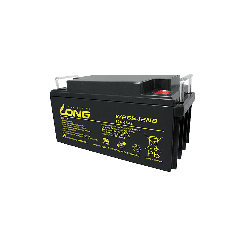 Batterie Long WP65-12NB | bateriasencasa.com