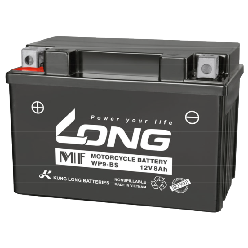 Long WP9-BS battery | bateriasencasa.com