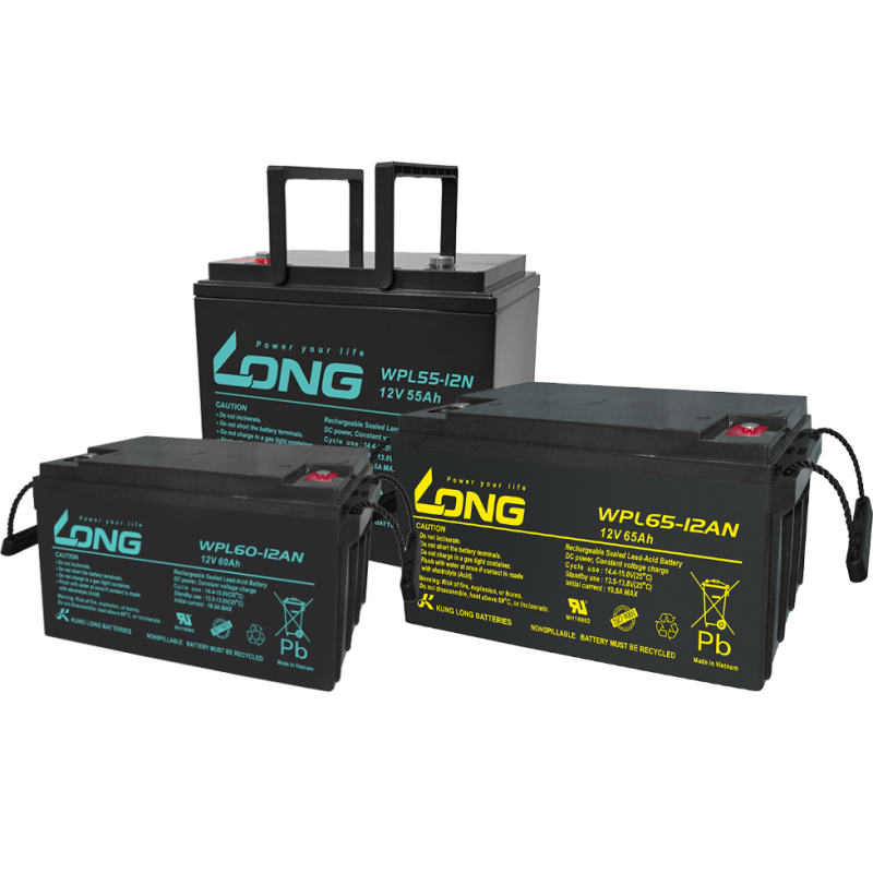 Batterie Long WPL100-12N | bateriasencasa.com