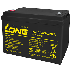 Batterie Long WPL100-12RN | bateriasencasa.com