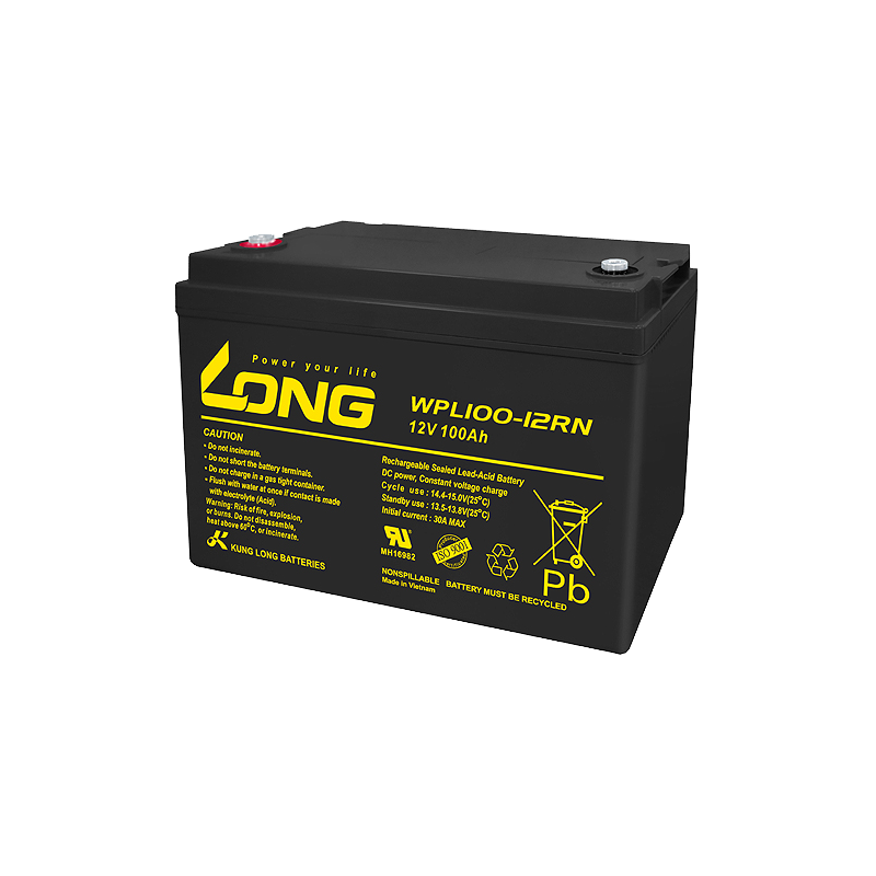 Batería Long WPL100-12RN | bateriasencasa.com