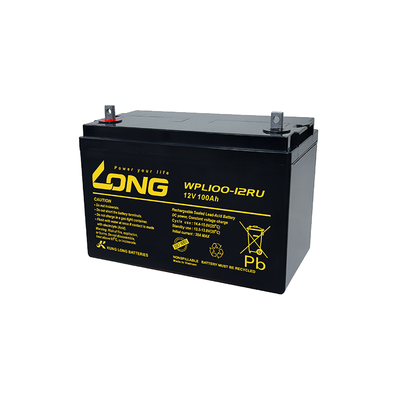 Batterie Long WPL100-12RU | bateriasencasa.com