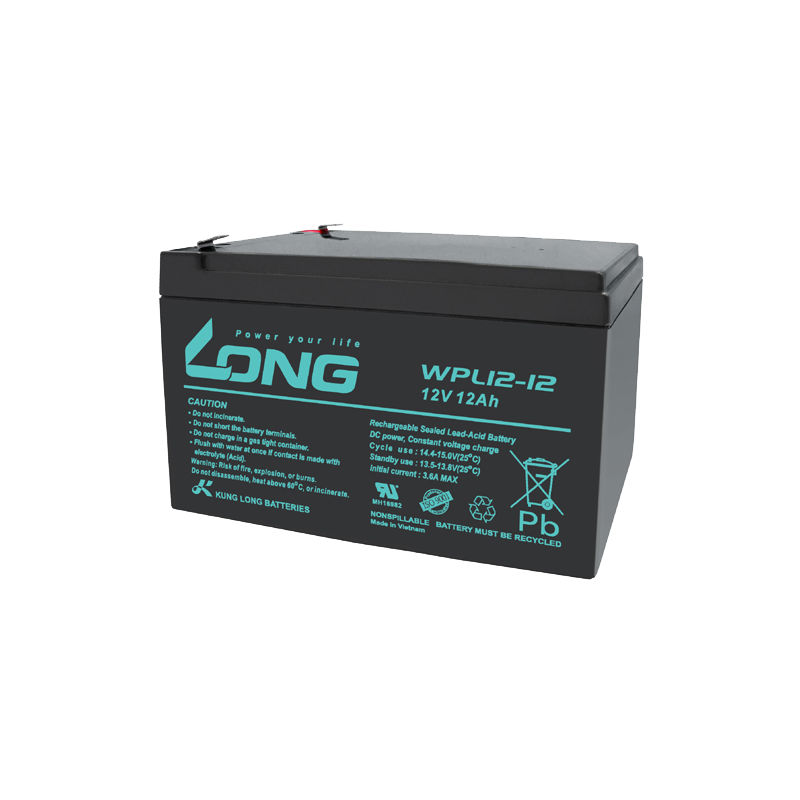 Bateria Long WPL12-12 | bateriasencasa.com