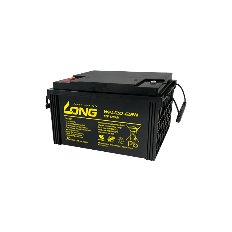 Batterie Long WPL120-12RN | bateriasencasa.com