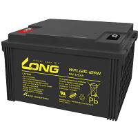 Bateria Long WPL125-12RN | bateriasencasa.com