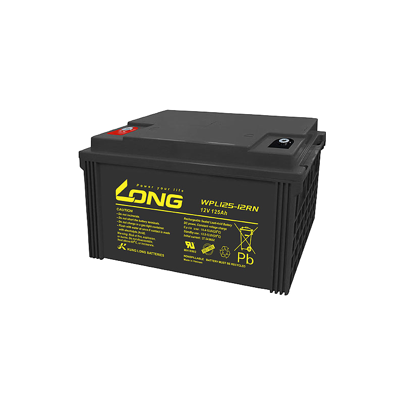 Batterie Long WPL125-12RN | bateriasencasa.com