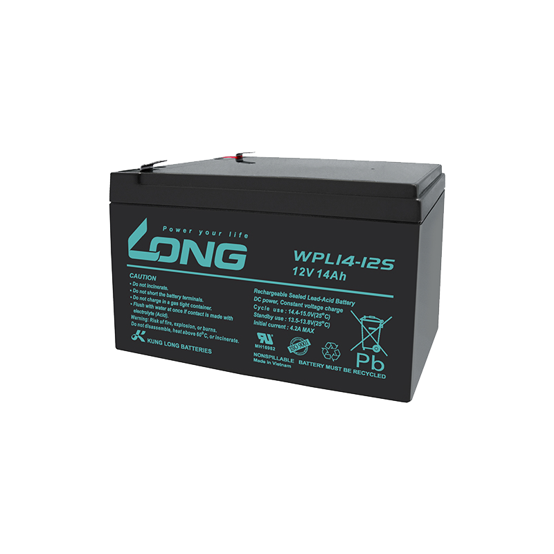 Long WPL14-12S battery | bateriasencasa.com
