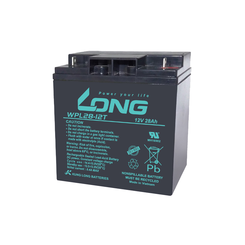 Batterie Long WPL28-12T | bateriasencasa.com