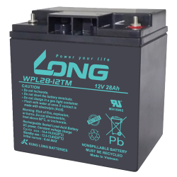 Bateria Long WPL28-12TM | bateriasencasa.com
