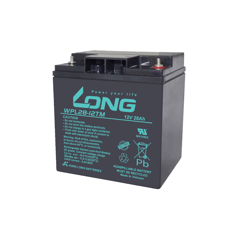 Batterie Long WPL28-12TM | bateriasencasa.com