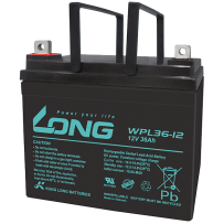 Batterie Long WPL36-12 | bateriasencasa.com