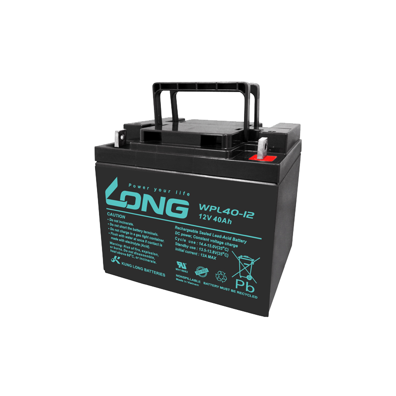 Batterie Long WPL40-12 | bateriasencasa.com