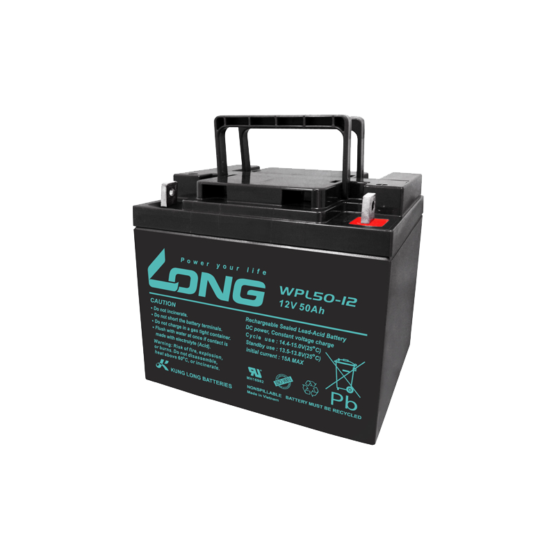 Batería Long WPL50-12 | bateriasencasa.com