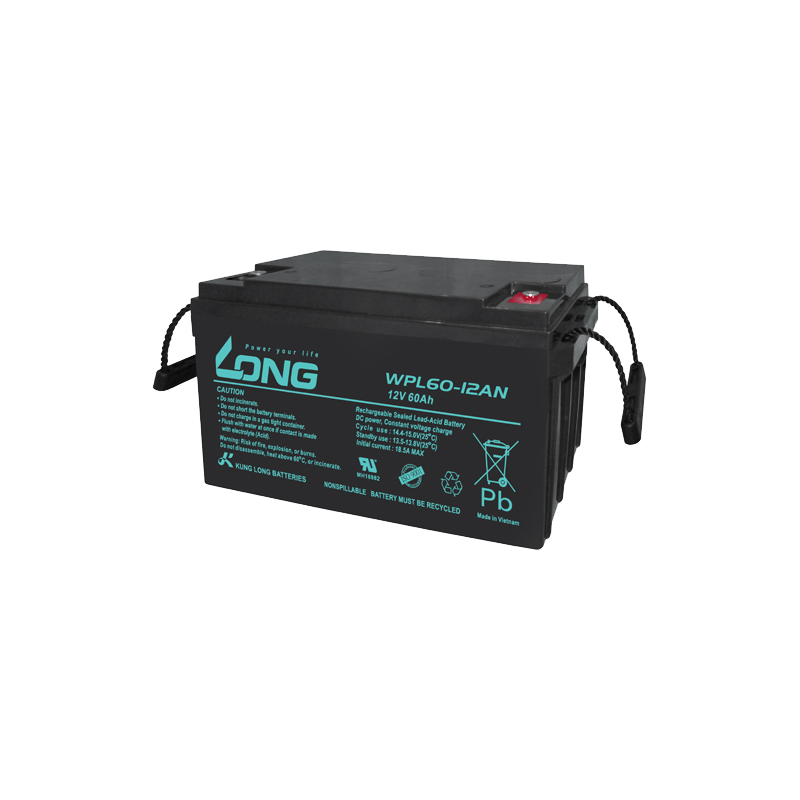 Long WPL60-12AN battery | bateriasencasa.com