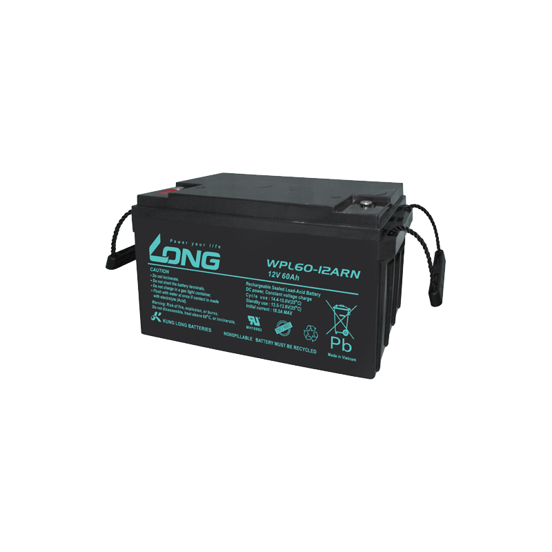 Batterie Long WPL60-12ARN | bateriasencasa.com