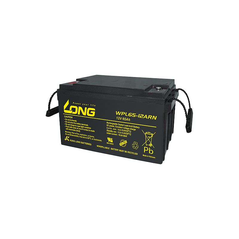 Batterie Long WPL65-12ARN | bateriasencasa.com
