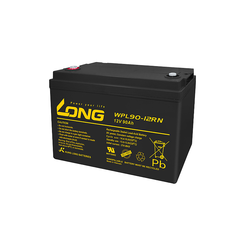 Batterie Long WPL90-12RN | bateriasencasa.com