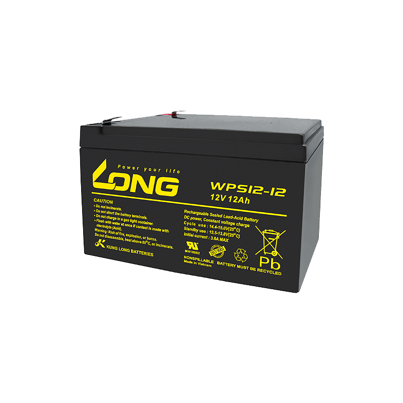 Long WPS12-12 battery | bateriasencasa.com