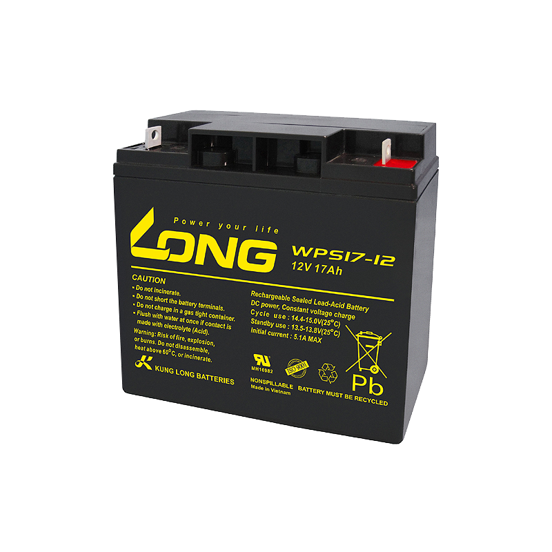 Batterie Long WPS17-12 | bateriasencasa.com