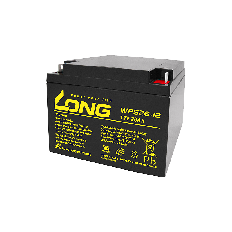 Batterie Long WPS26-12 | bateriasencasa.com