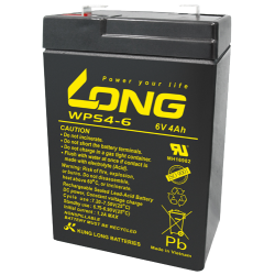 Batterie Long WPS4-6 | bateriasencasa.com