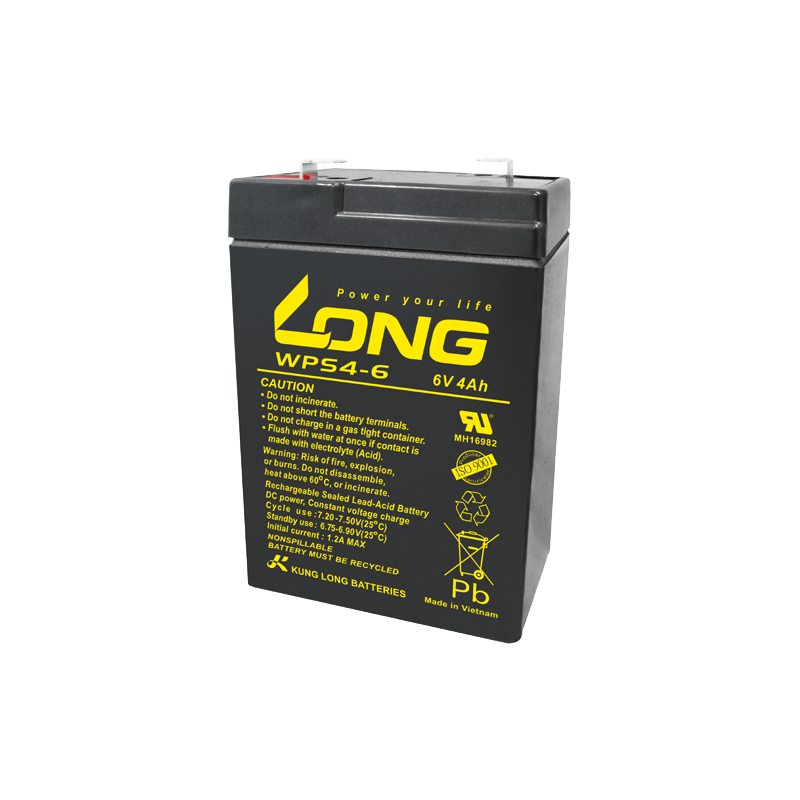Batterie Long WPS4-6 | bateriasencasa.com
