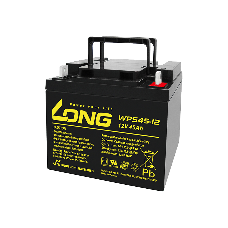Long WPS45-12 battery | bateriasencasa.com