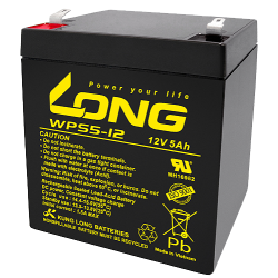 Batterie Long WPS5-12 | bateriasencasa.com