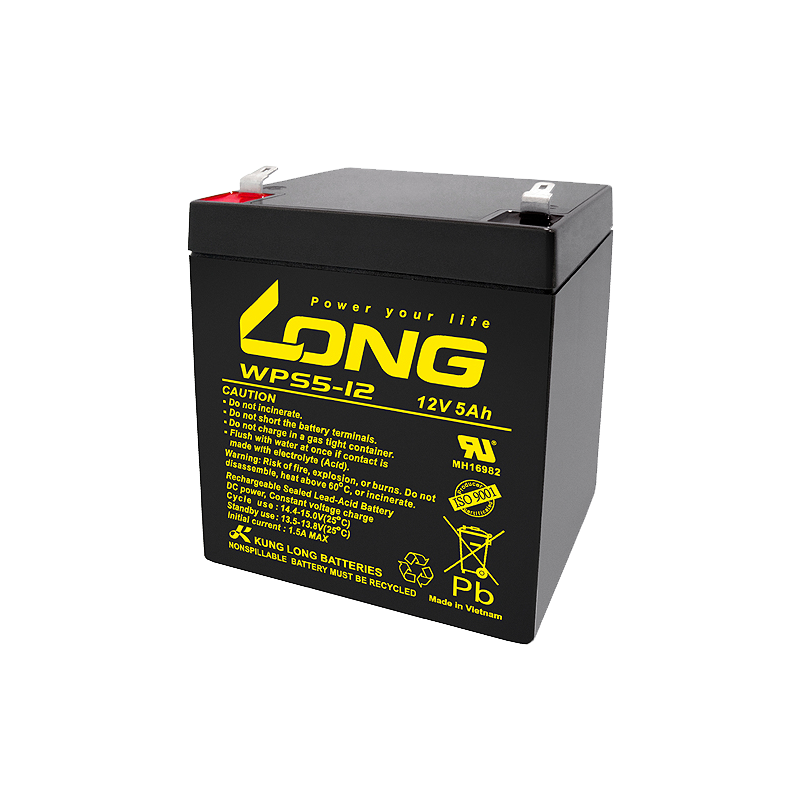 Long WPS5-12 battery | bateriasencasa.com