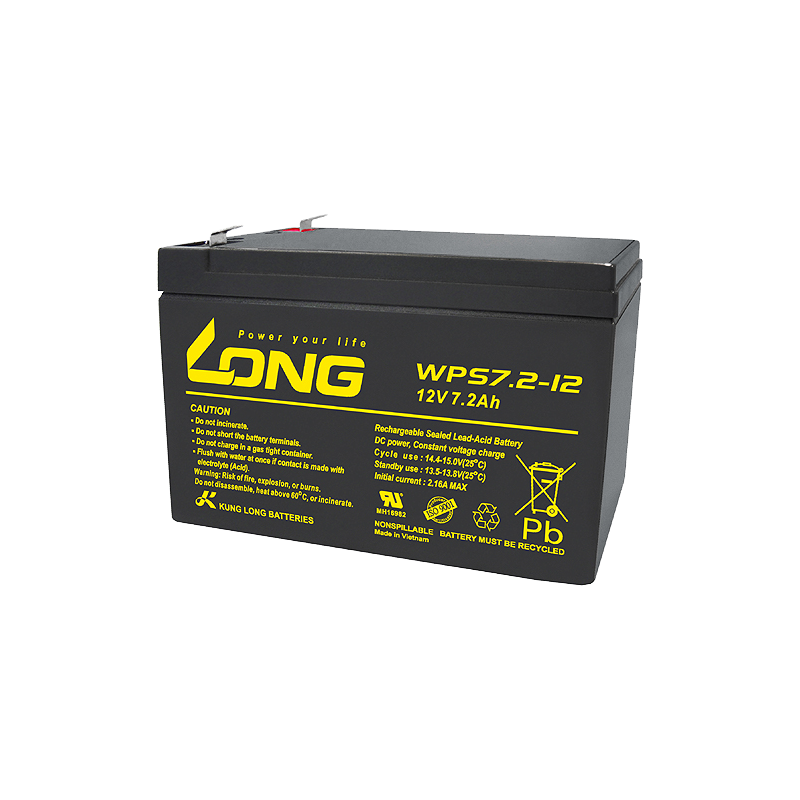 Batterie Long WPS7.2-12 | bateriasencasa.com