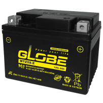 Batteria Long WTZ5S-E | bateriasencasa.com