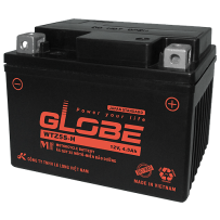 Batteria Long WTZ5S-H | bateriasencasa.com