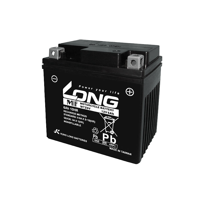 Batterie Long WTZ6V | bateriasencasa.com