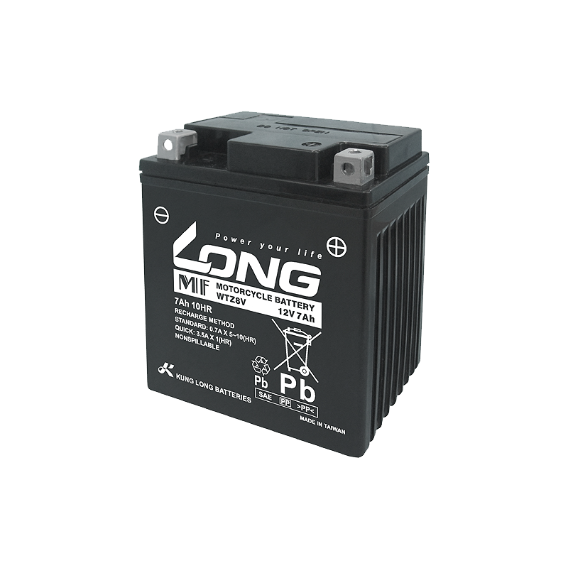 Batterie Long WTZ8V | bateriasencasa.com