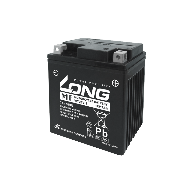 Batterie Long WTZ8VIS | bateriasencasa.com