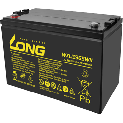 Batería Long WXL12365WN | bateriasencasa.com