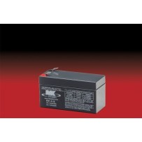Mk ES1.2-12 battery | bateriasencasa.com