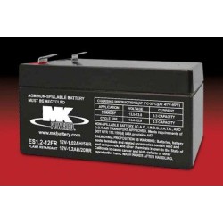 Mk ES1.2-12FR battery | bateriasencasa.com