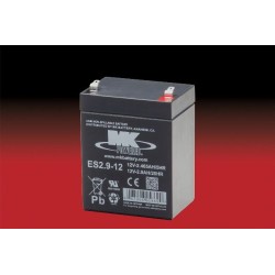 Mk ES2.9-12 battery | bateriasencasa.com