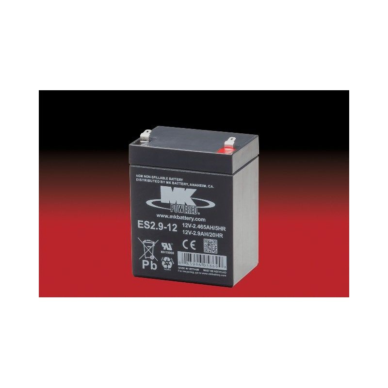 Mk ES2.9-12 battery | bateriasencasa.com