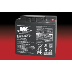 Mk ES20-12C FT battery | bateriasencasa.com