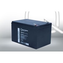 Batterie Q-battery 12LSX-12 F2 | bateriasencasa.com